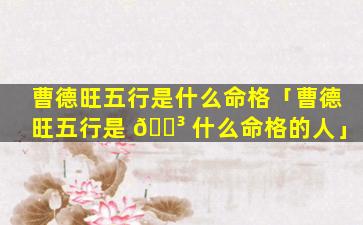 曹德旺五行是什么命格「曹德旺五行是 🌳 什么命格的人」